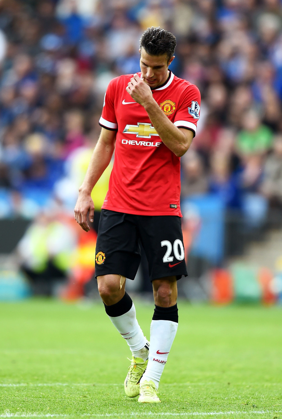 图与多段回 图与多段回